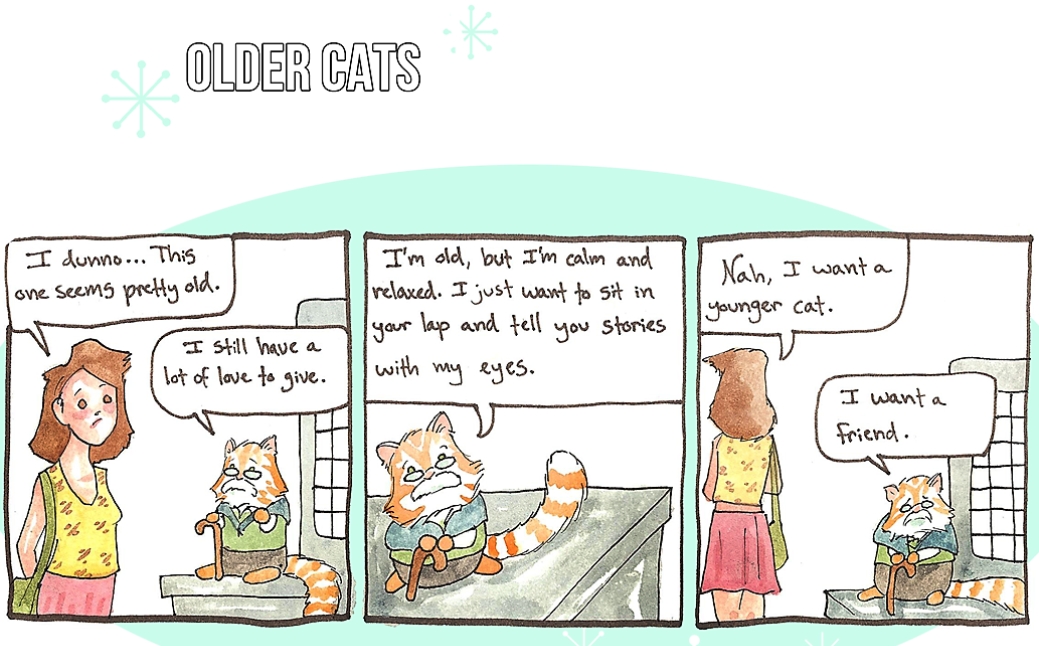 older_cats